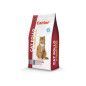 CANTER GATO POLLO