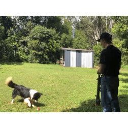 BAZOOKA LANZADOR PELOTAS