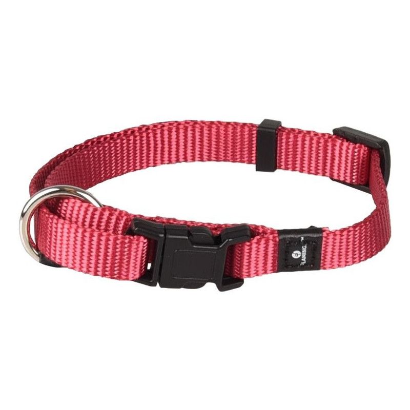 COLLAR NYLON