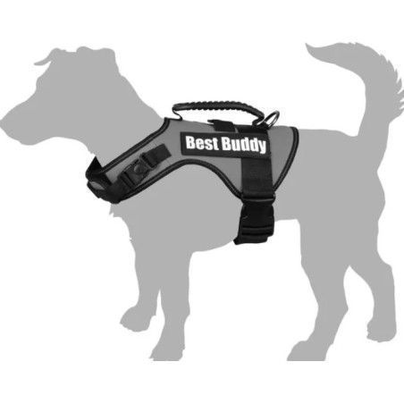 ARNES BEST BUDDY FLUORESCENTE