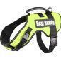 ARNES BEST BUDDY FLUORESCENTE
