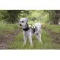 ARNES BEST BUDDY FLUORESCENTE