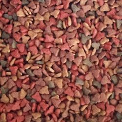 BRUNCHY CAT ECO 20 KG