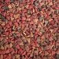 BRUNCHY CAT ECO 20 KG
