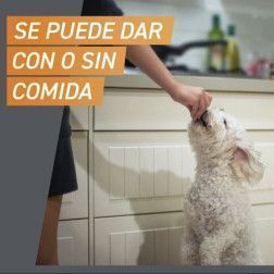 FRONTPRO COMPRIMIDOS MASTICABLES ANTIPARASITARIO PARA PERROS