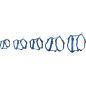 ARNES EN H NAILON RICCO AZUL ARNES EN H NAILON RICCO AZUL