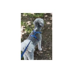 ARNES NYLON RICCO AZUL