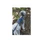 ARNES EN H NAILON RICCO AZUL ARNES EN H NAILON RICCO AZUL