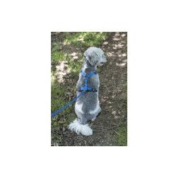 ARNES NYLON RICCO AZUL