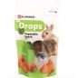 Snack de Zanahoria para Roedores 75 gr