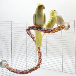 Cuerda De Escalada para Aves