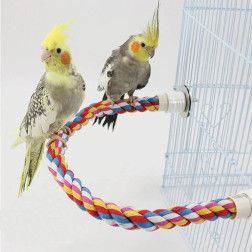 Cuerda De Escalada para Aves
