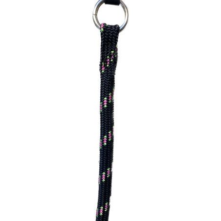 Collar Antitirones Nemo para perros