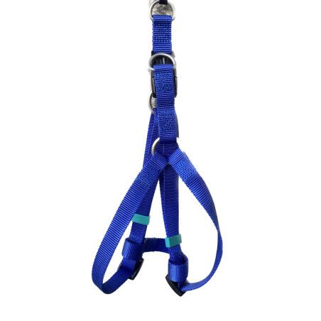 Arnes de Nylon Tes en Diamante - Azul