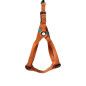 Arnes de Nylon Tes en Diamante - Naranja