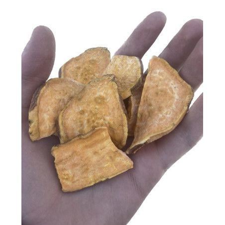 Chips de Boniato - Snack para Perros