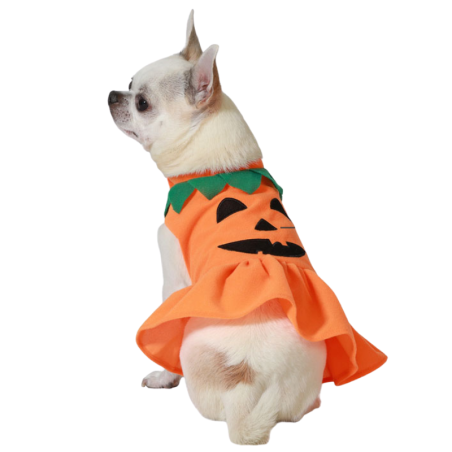 Disfraz de Calabaza para Perros