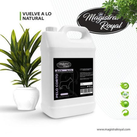 CHAMPU PELO CORTO MAGISTRAL ROYAL 1L