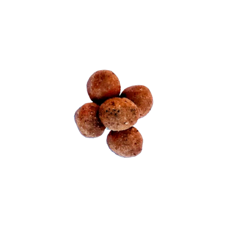 Carnivoro Sport de Cordero y Arroz - Pienso para Perros 12Kg