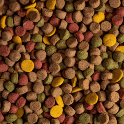 SIRDOG ADULTO MANTENIMIENTO MIX 20KG