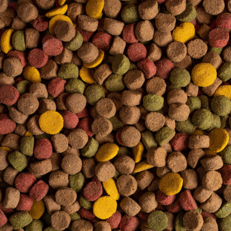 SIRDOG ADULTO MANTENIMIENTO MIX 20KG
