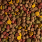 SIRDOG ADULTO MANTENIMIENTO MIX 20KG SIRDOG ADULTO MANTENIMIENTO MIX 20KG