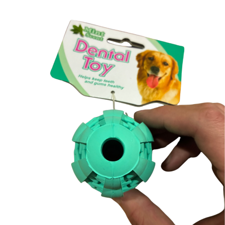 Mordedor Dental Toy Sabor Menta - Ultrarresistente