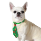 Corbata Navideña Verde de 13cm para Perros