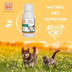 Alimento Complementario para Articulaciones 120ml | Menforsan