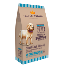 TRIPLE CROWN LOVELY PUPPY