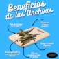 Mini Pescaditos Deshidratados (Anchoas) 500gr - Moñino Bites