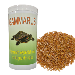 Gammarus para Tortugas Krasty - Alimento para Tortugas