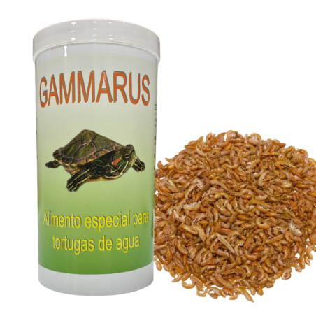 Gammarus para Tortugas Krasty - Alimento para Tortugas
