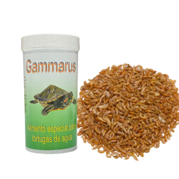 Gammarus para Tortugas - Alimento para Tortugas Krasty