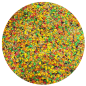 Pasta de Cría Tropical 10Kg - Bogena