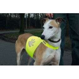 CHALECO REFLECTANTE PARA PERROS