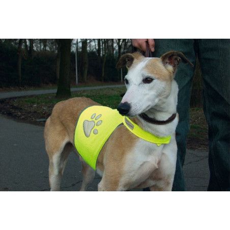 CHALECO REFLECTANTE PARA PERROS