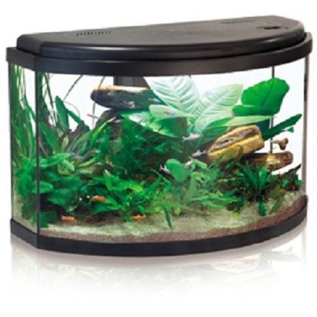 ACUARIO PANORAMICO HORIZON 60