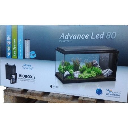 ACUARIO ADVANCE 80