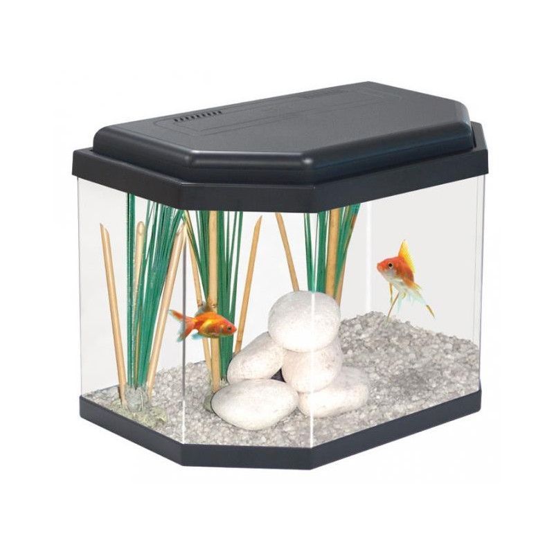 ACUARIO C40 ACUARIO C40