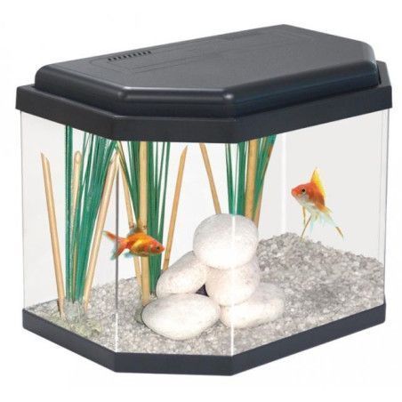 ACUARIO C40