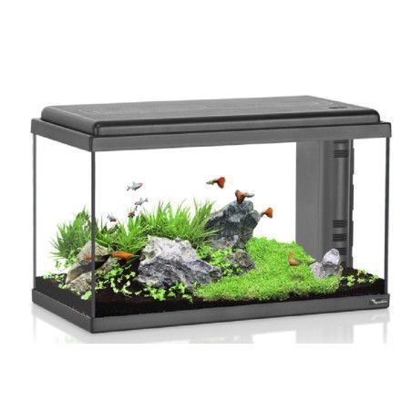 ACUARIO ATLANTIS 60