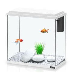 ACUARIO KIT 35
