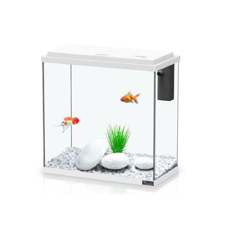 ACUARIO KIT 35