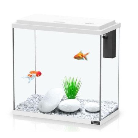 ACUARIO KIT 35