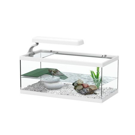 TORTUGUERA CRISTAL TORTUM 40