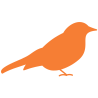 Aves