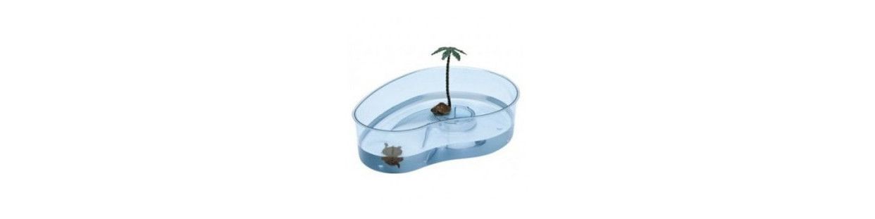 Comprar Tortugueras en nuesta tienda para Mascotas