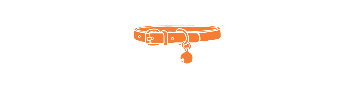 Accesorios de Paseo y Viaje para Gatos