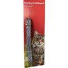 Collares Para Gatos